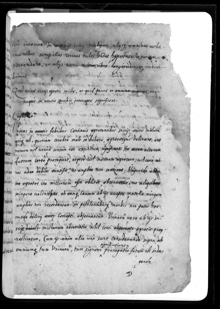 Padova, Biblioteca dell'Orto Botanico, Ms. Ar.B.18
doc_00263_054r
Keywords: Padova B Orto Botanico Ms. Ar.B.18, Padova B Orto Botanico