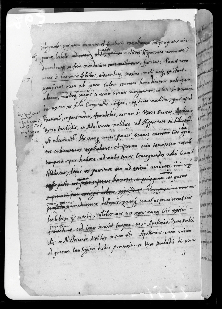 Padova, Biblioteca dell'Orto Botanico, Ms. Ar.B.18
doc_00263_054v
Keywords: Padova B Orto Botanico Ms. Ar.B.18, Padova B Orto Botanico