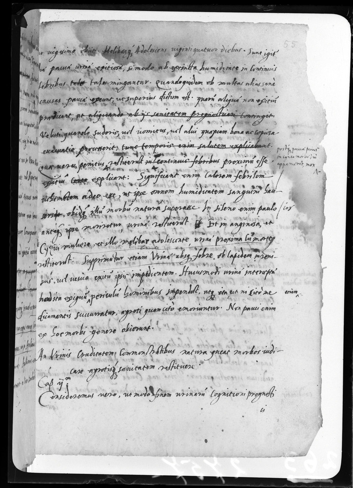Padova, Biblioteca dell'Orto Botanico, Ms. Ar.B.18
doc_00263_055r
Keywords: Padova B Orto Botanico Ms. Ar.B.18, Padova B Orto Botanico