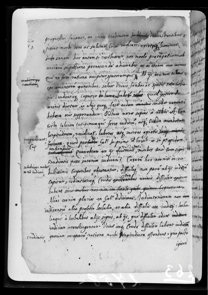 Padova, Biblioteca dell'Orto Botanico, Ms. Ar.B.18
doc_00263_055v
Keywords: Padova B Orto Botanico Ms. Ar.B.18, Padova B Orto Botanico