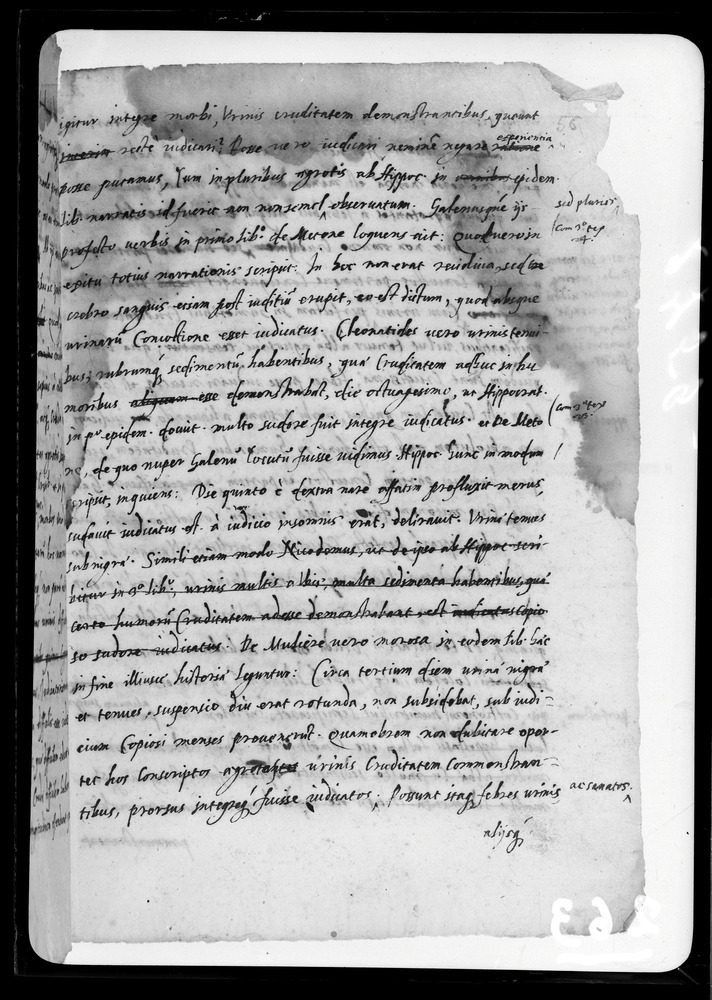 Padova, Biblioteca dell'Orto Botanico, Ms. Ar.B.18
doc_00263_056r
Keywords: Padova B Orto Botanico Ms. Ar.B.18, Padova B Orto Botanico