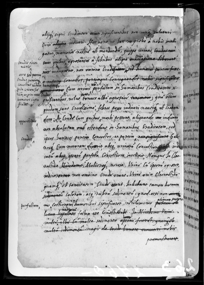 Padova, Biblioteca dell'Orto Botanico, Ms. Ar.B.18
doc_00263_056v
Keywords: Padova B Orto Botanico Ms. Ar.B.18, Padova B Orto Botanico