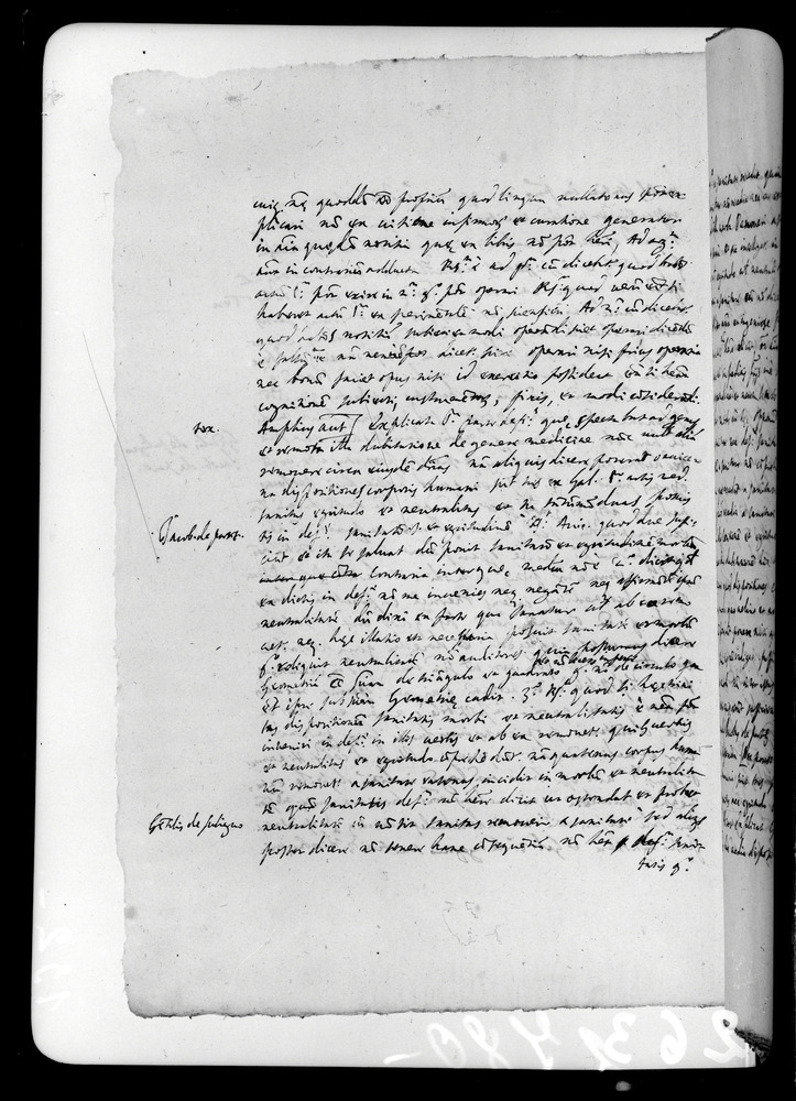 Padova, Biblioteca dell'Orto Botanico, Ms. Ar.B.18
doc_00263_132v
Keywords: Padova B Orto Botanico Ms. Ar.B.18, Padova B Orto Botanico