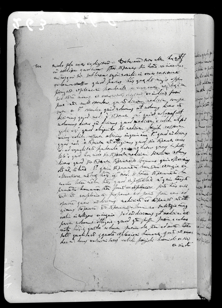 Padova, Biblioteca dell'Orto Botanico, Ms. Ar.B.18
doc_00263_141v
Keywords: Padova B Orto Botanico Ms. Ar.B.18, Padova B Orto Botanico