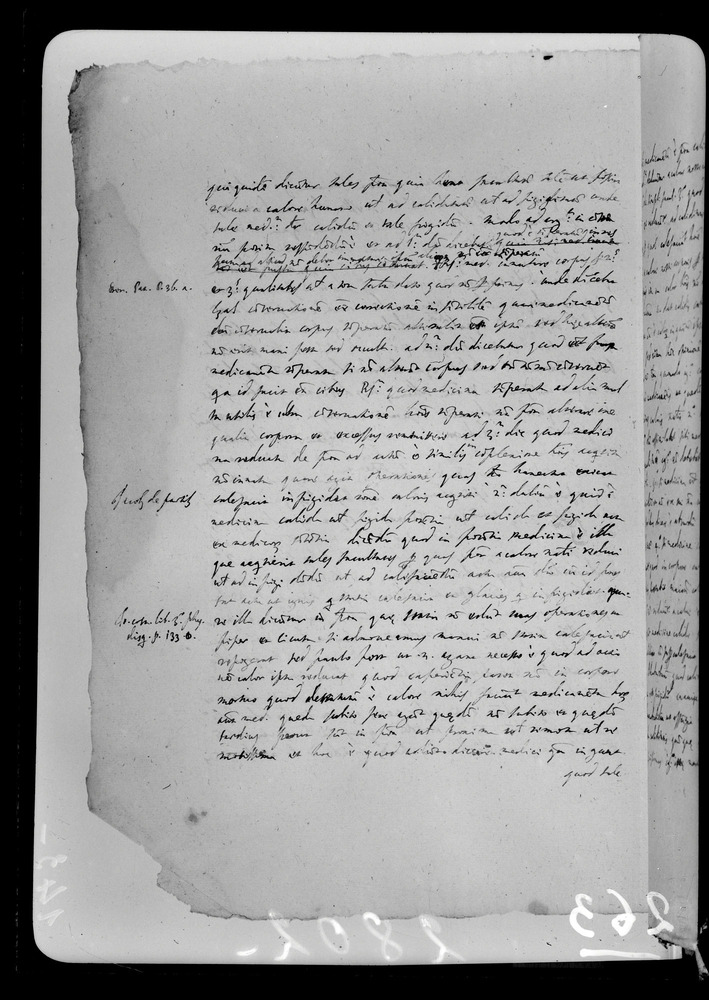 Padova, Biblioteca dell'Orto Botanico, Ms. Ar.B.18
doc_00263_143v
Keywords: Padova B Orto Botanico Ms. Ar.B.18, Padova B Orto Botanico