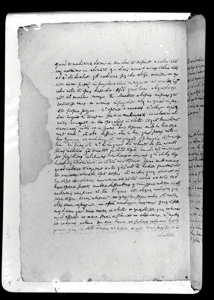 Padova, Biblioteca dell'Orto Botanico, Ms. Ar.B.18
doc_00263_146v
Keywords: Padova B Orto Botanico Ms. Ar.B.18, Padova B Orto Botanico