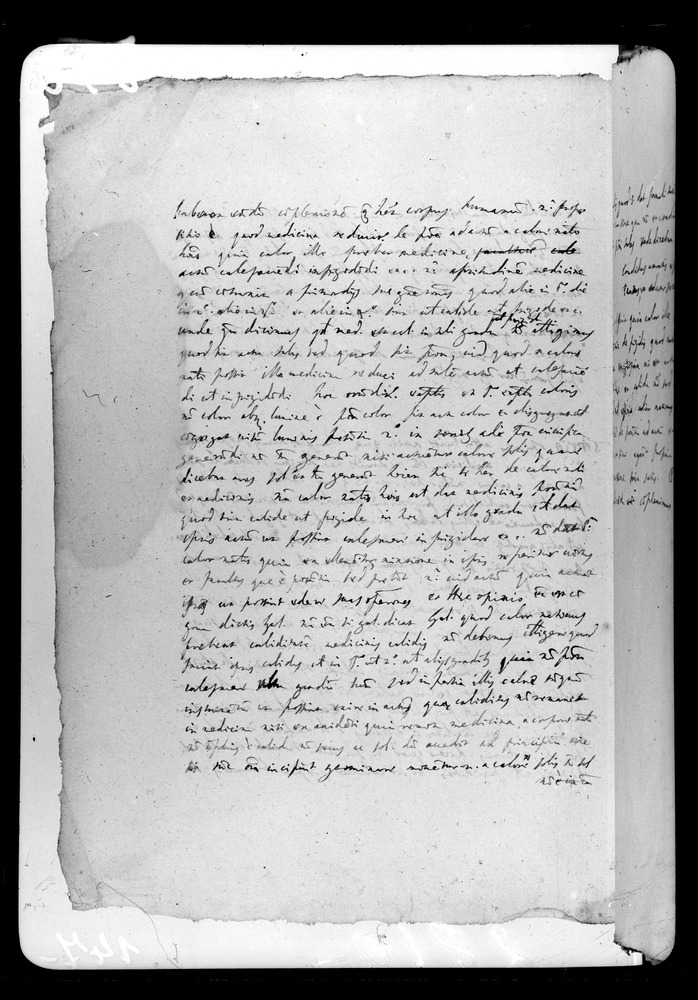 Padova, Biblioteca dell'Orto Botanico, Ms. Ar.B.18
doc_00263_147v
Keywords: Padova B Orto Botanico Ms. Ar.B.18, Padova B Orto Botanico
