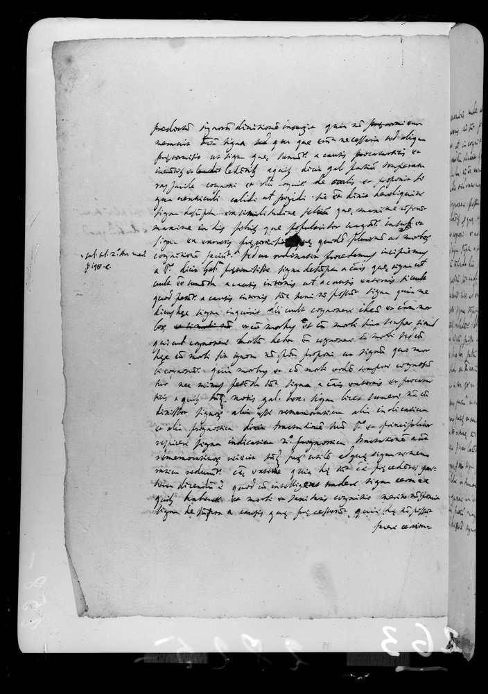 Padova, Biblioteca dell'Orto Botanico, Ms. Ar.B.18
doc_00263_158v
Keywords: Padova B Orto Botanico Ms. Ar.B.18, Padova B Orto Botanico