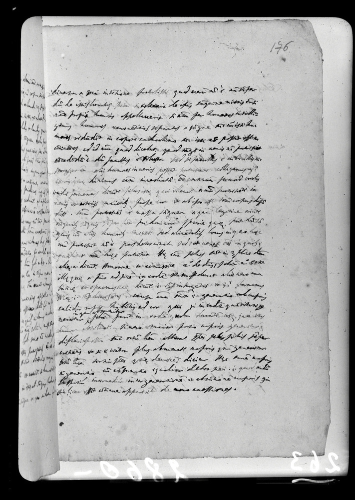 Padova, Biblioteca dell'Orto Botanico, Ms. Ar.B.18
doc_00263_176r
Keywords: Padova B Orto Botanico Ms. Ar.B.18, Padova B Orto Botanico