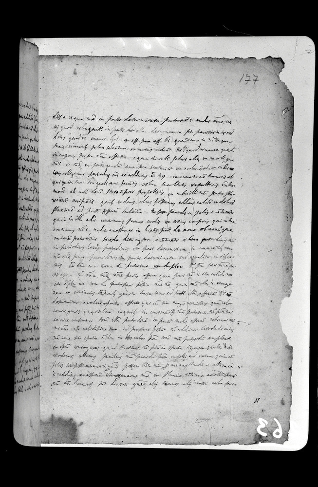 Padova, Biblioteca dell'Orto Botanico, Ms. Ar.B.18
doc_00263_177r
Keywords: Padova B Orto Botanico Ms. Ar.B.18, Padova B Orto Botanico
