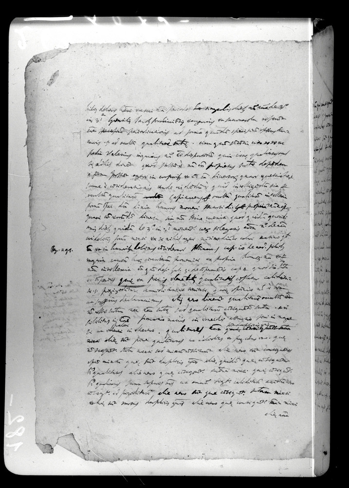 Padova, Biblioteca dell'Orto Botanico, Ms. Ar.B.18
doc_00263_182v
Keywords: Padova B Orto Botanico Ms. Ar.B.18, Padova B Orto Botanico