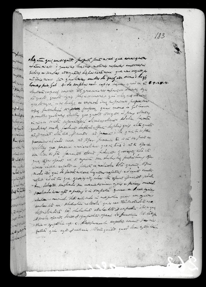 Padova, Biblioteca dell'Orto Botanico, Ms. Ar.B.18
doc_00263_183r
Keywords: Padova B Orto Botanico Ms. Ar.B.18, Padova B Orto Botanico