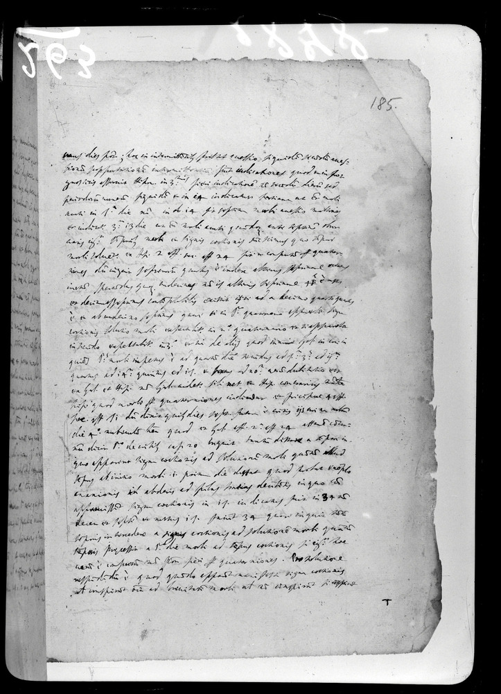 Padova, Biblioteca dell'Orto Botanico, Ms. Ar.B.18
doc_00263_185r
Keywords: Padova B Orto Botanico Ms. Ar.B.18, Padova B Orto Botanico