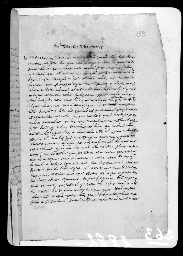 Padova, Biblioteca dell'Orto Botanico, Ms. Ar.B.18
doc_00263_193r
Keywords: Padova B Orto Botanico Ms. Ar.B.18, Padova B Orto Botanico