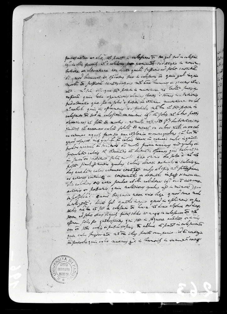 Padova, Biblioteca dell'Orto Botanico, Ms. Ar.B.18
doc_00263_196v
Keywords: Padova B Orto Botanico Ms. Ar.B.18, Padova B Orto Botanico