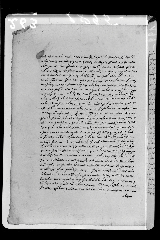 Padova, Biblioteca dell'Orto Botanico, Ms. Ar.B.18
doc_00263_199v
Keywords: Padova B Orto Botanico Ms. Ar.B.18, Padova B Orto Botanico