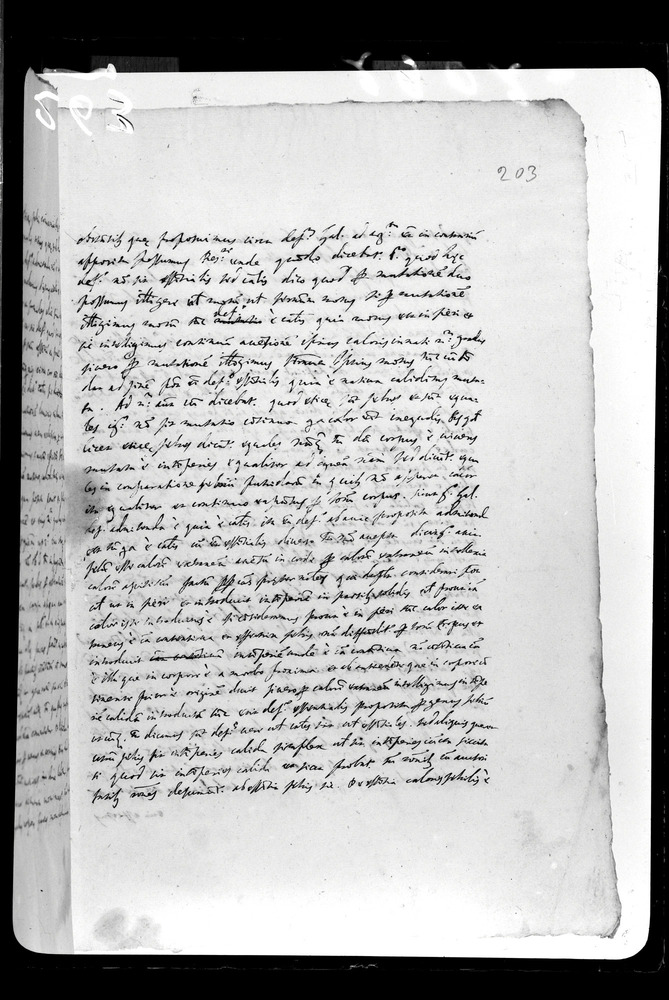 Padova, Biblioteca dell'Orto Botanico, Ms. Ar.B.18
doc_00263_203r
Keywords: Padova B Orto Botanico Ms. Ar.B.18, Padova B Orto Botanico