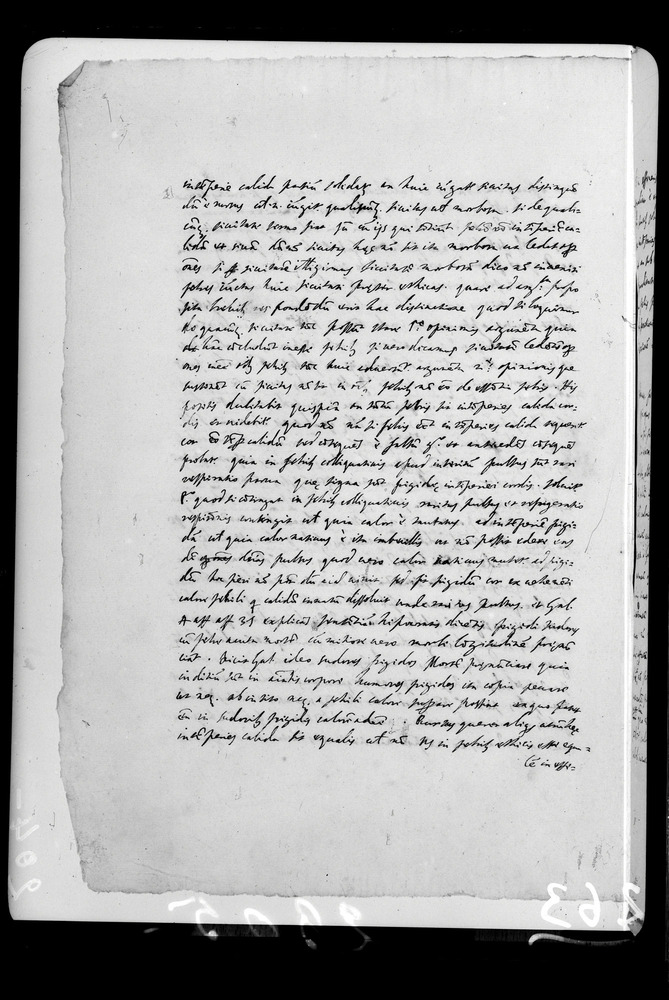 Padova, Biblioteca dell'Orto Botanico, Ms. Ar.B.18
doc_00263_204v
Keywords: Padova B Orto Botanico Ms. Ar.B.18, Padova B Orto Botanico