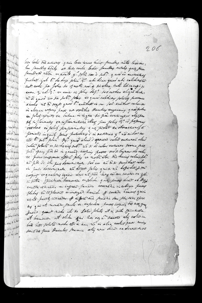 Padova, Biblioteca dell'Orto Botanico, Ms. Ar.B.18
doc_00263_206r
Keywords: Padova B Orto Botanico Ms. Ar.B.18, Padova B Orto Botanico