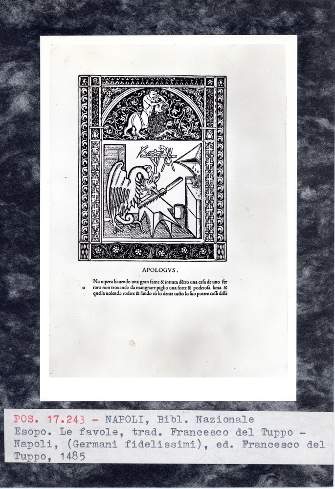 Napoli, Biblioteca Nazionale Vittorio Emanuele 3., S.Q. 23.I.30 - IGI 103
pos_17243
Keywords: BNN S.Q. 23.I.30, IGI 103, Incunaboli, BNN