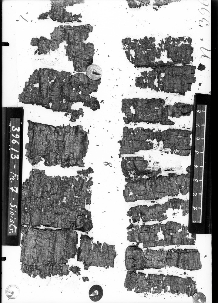 Frammenti di manoscritto su papiro. Pompei, Scavi Parco Archeologico
doc_07696
Keywords: Pompei scavi archelogici Frammeni papiro, Papiri, 1. sec., Pompei Parco Archeologico