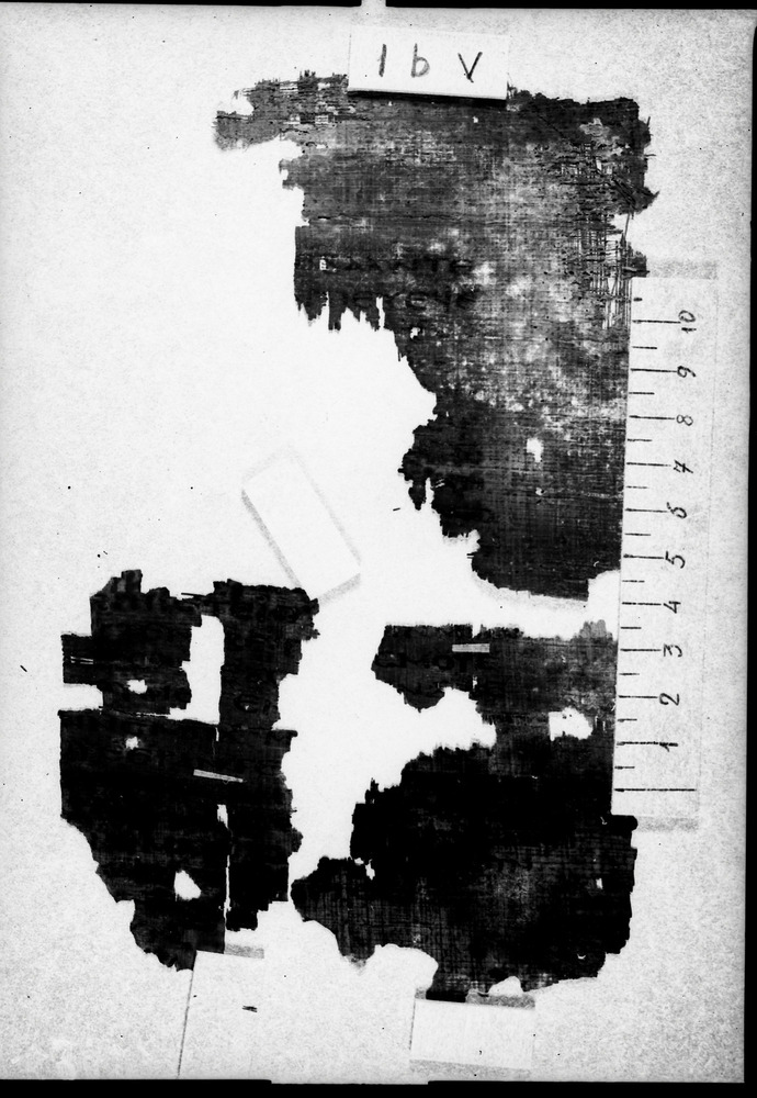 Milano, Università degli Studi di Milano Statale, Biblioteca di scienze dell'antichità e filologia moderna. Sezione di papirologia, P. Mil. Vogl. Copto 15
doc_07992
Keywords: UniMI Papirologia P. Mil. Vogl. Copt. 15, Papiri, Fotografie UV, 2. sec., 3. sec., UniMI Papirologia