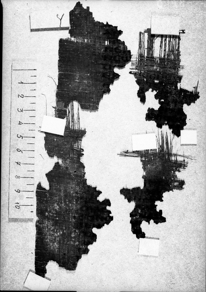 Milano, Università degli Studi di Milano Statale, Biblioteca di scienze dell'antichità e filologia moderna. Sezione di papirologia, P. Mil. Vogl. Copto 15
doc_08005
Keywords: UniMI Papirologia P. Mil. Vogl. Copt. 15, Papiri, Fotografie UV, 2. sec., 3. sec., UniMI Papirologia