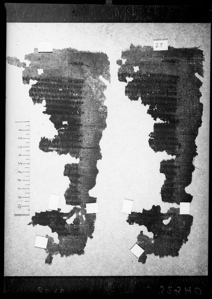 Milano, Università degli Studi di Milano Statale, Biblioteca di scienze dell'antichità e filologia moderna. Sezione di papirologia, P. Mil. Vogl. Copto 15
doc_08016
Keywords: UniMI Papirologia P. Mil. Vogl. Copt. 15, Papiri, Fotografie UV, 2. sec., 3. sec., UniMI Papirologia