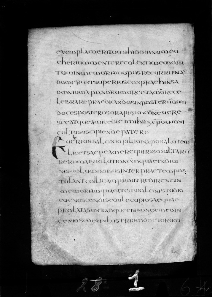 Roma, Biblioteca Nazionale Centrale, Sess. 77
doc_00001_006v
Keywords: BNCR Sess. 77, 8. sec., BNCR