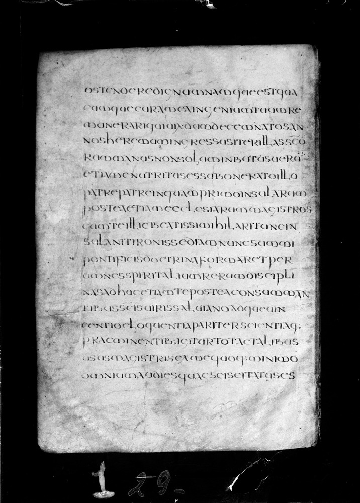 Roma, Biblioteca Nazionale Centrale, Sess. 77
doc_00001_007v
Keywords: BNCR Sess. 77, 8. sec., BNCR