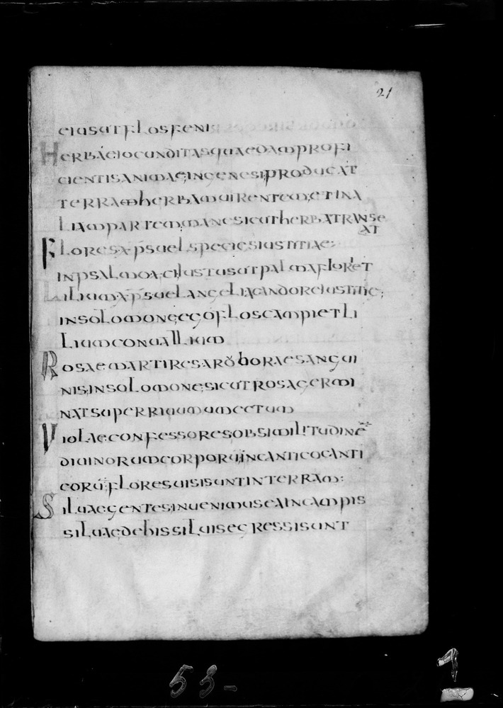 Roma, Biblioteca Nazionale Centrale, Sess. 77
doc_00001_021r
Keywords: BNCR Sess. 77, 8. sec., BNCR