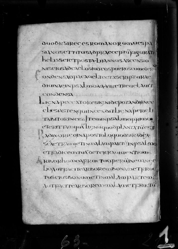 Roma, Biblioteca Nazionale Centrale, Sess. 77
doc_00001_021v
Keywords: BNCR Sess. 77, 8. sec., BNCR