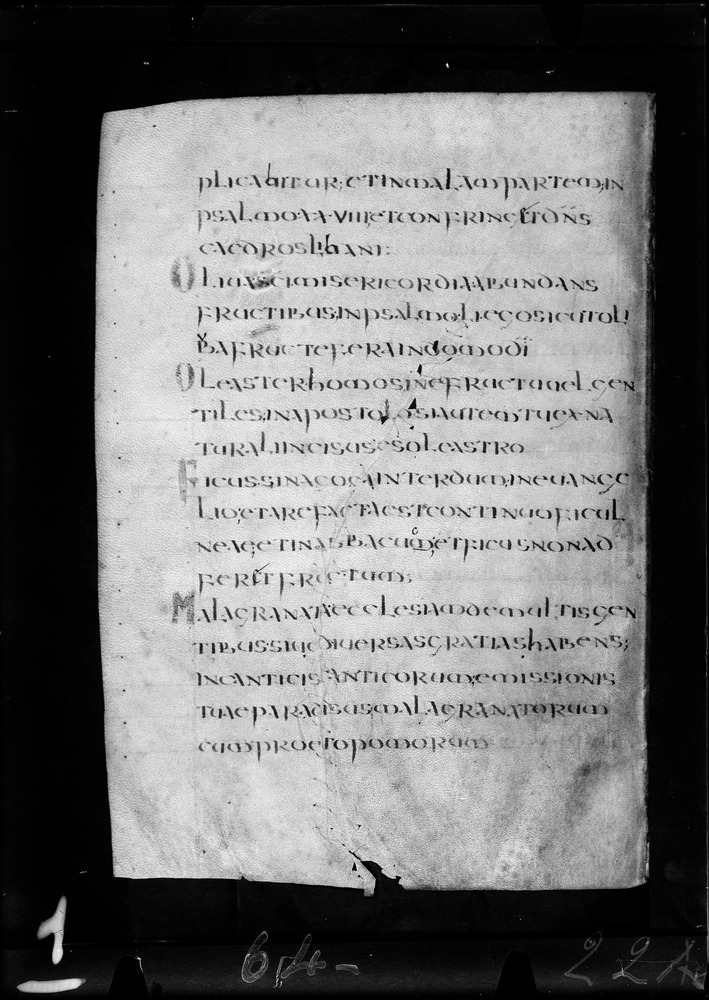 Roma, Biblioteca Nazionale Centrale, Sess. 77
doc_00001_022v
Keywords: BNCR Sess. 77, 8. sec., BNCR