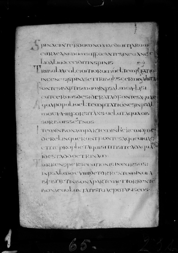Roma, Biblioteca Nazionale Centrale, Sess. 77
doc_00001_023v
Keywords: BNCR Sess. 77, 8. sec., BNCR
