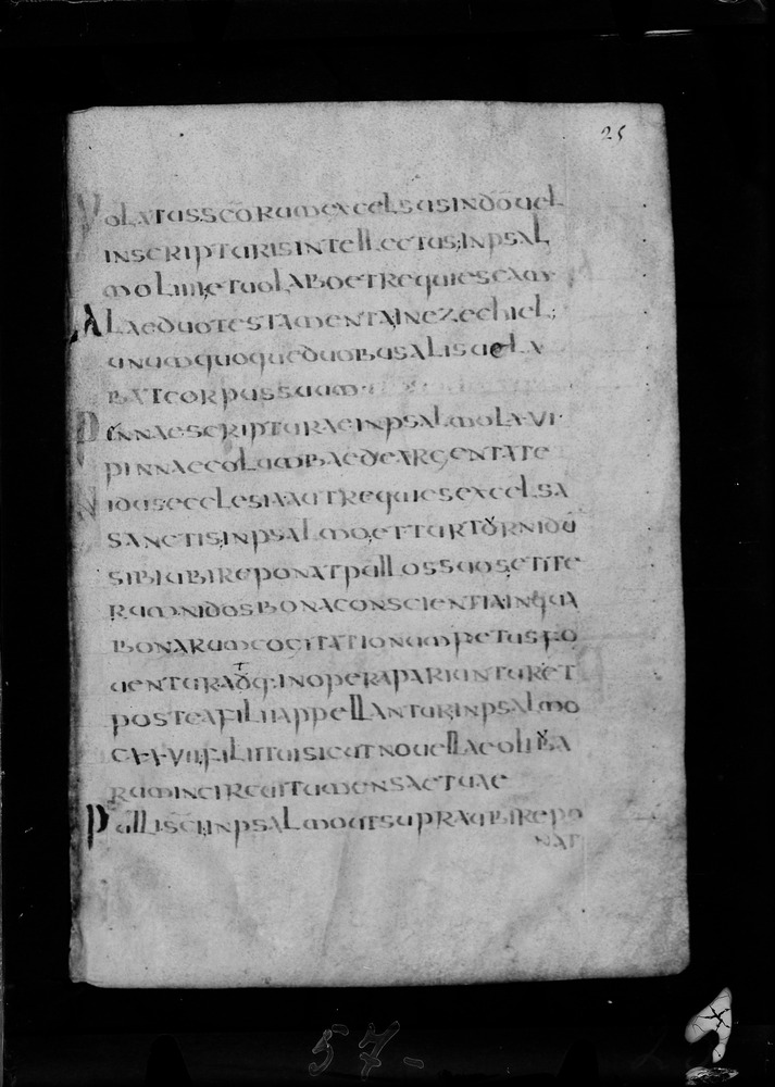 Roma, Biblioteca Nazionale Centrale, Sess. 77
doc_00001_025r
Keywords: BNCR Sess. 77, 8. sec., BNCR