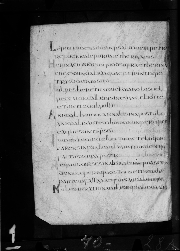Roma, Biblioteca Nazionale Centrale, Sess. 77
doc_00001_028v
Keywords: BNCR Sess. 77, 8. sec., BNCR