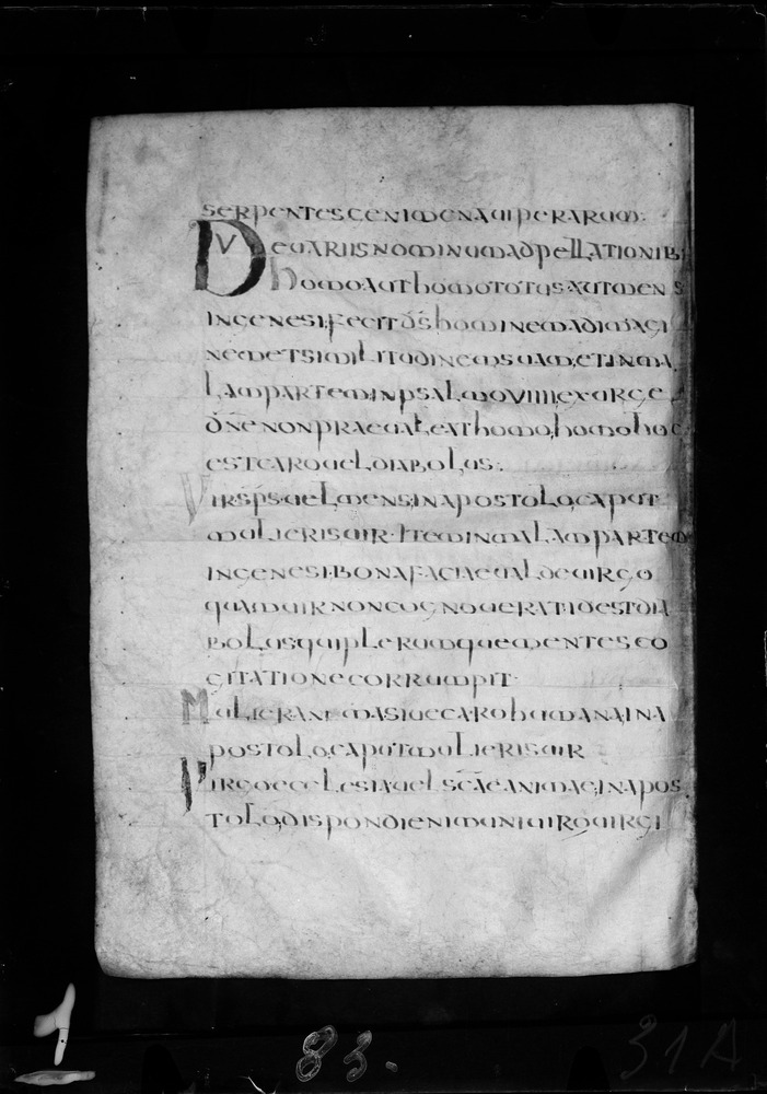 Roma, Biblioteca Nazionale Centrale, Sess. 77
doc_00001_031v
Keywords: BNCR Sess. 77, 8. sec., BNCR
