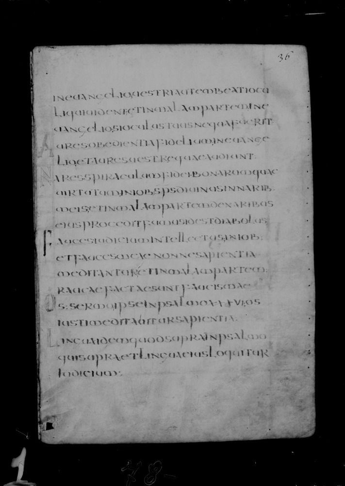 Roma, Biblioteca Nazionale Centrale, Sess. 77
doc_00001_036r
Keywords: BNCR Sess. 77, 8. sec., BNCR