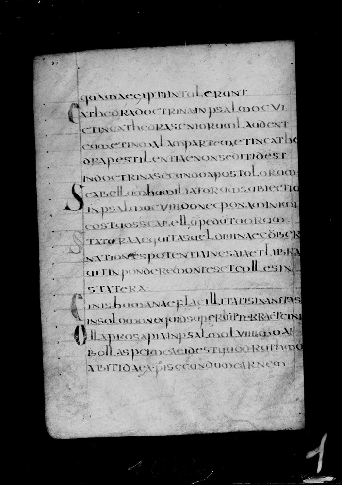 Roma, Biblioteca Nazionale Centrale, Sess. 77
doc_00001_043v
Keywords: BNCR Sess. 77, 8. sec., BNCR