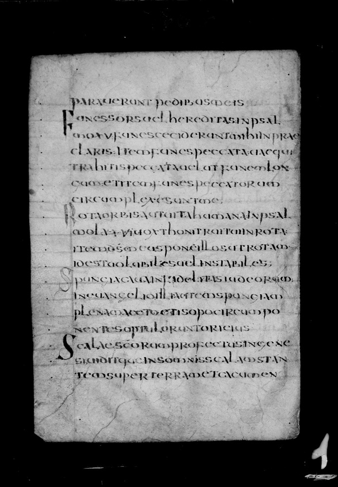 Roma, Biblioteca Nazionale Centrale, Sess. 77
doc_00001_045v
Keywords: BNCR Sess. 77, 8. sec., BNCR