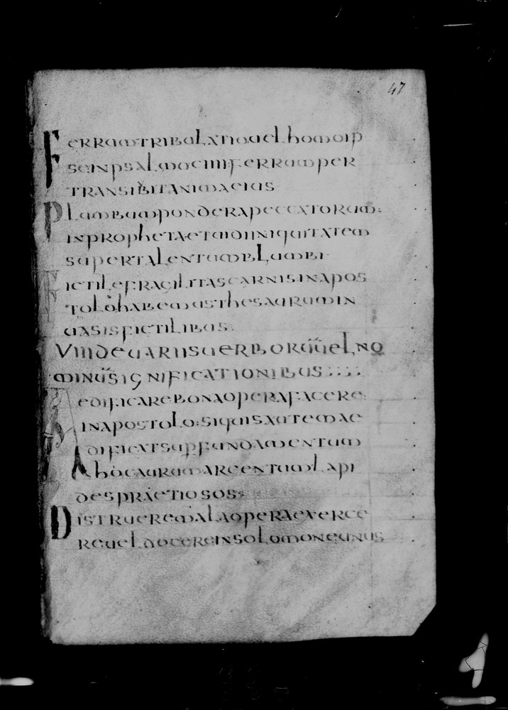 Roma, Biblioteca Nazionale Centrale, Sess. 77
doc_00001_047r
Keywords: BNCR Sess. 77, 8. sec., BNCR