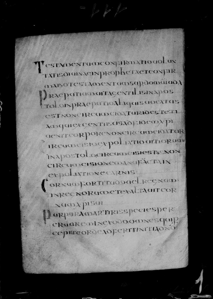 Roma, Biblioteca Nazionale Centrale, Sess. 77
doc_00001_049v
Keywords: BNCR Sess. 77, 8. sec., BNCR