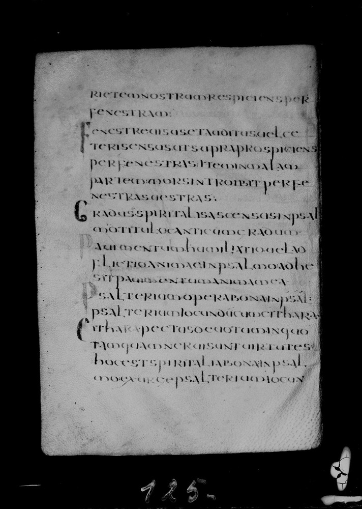 Roma, Biblioteca Nazionale Centrale, Sess. 77
doc_00001_053v
Keywords: BNCR Sess. 77, 8. sec., BNCR