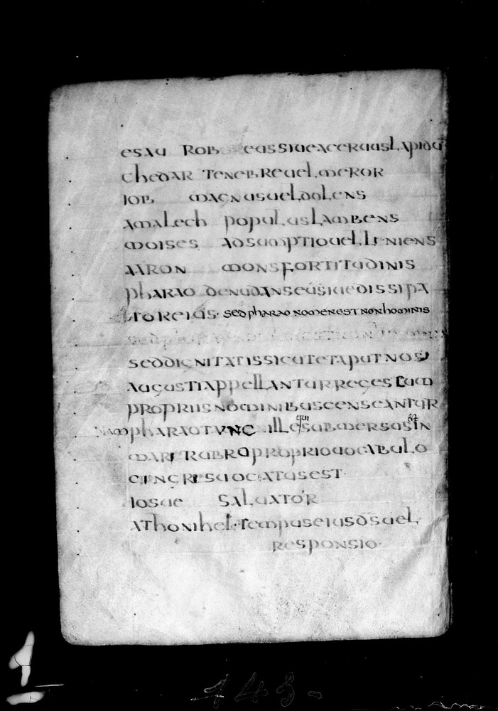 Roma, Biblioteca Nazionale Centrale, Sess. 77
doc_00001_061v
Keywords: BNCR Sess. 77, 8. sec., BNCR