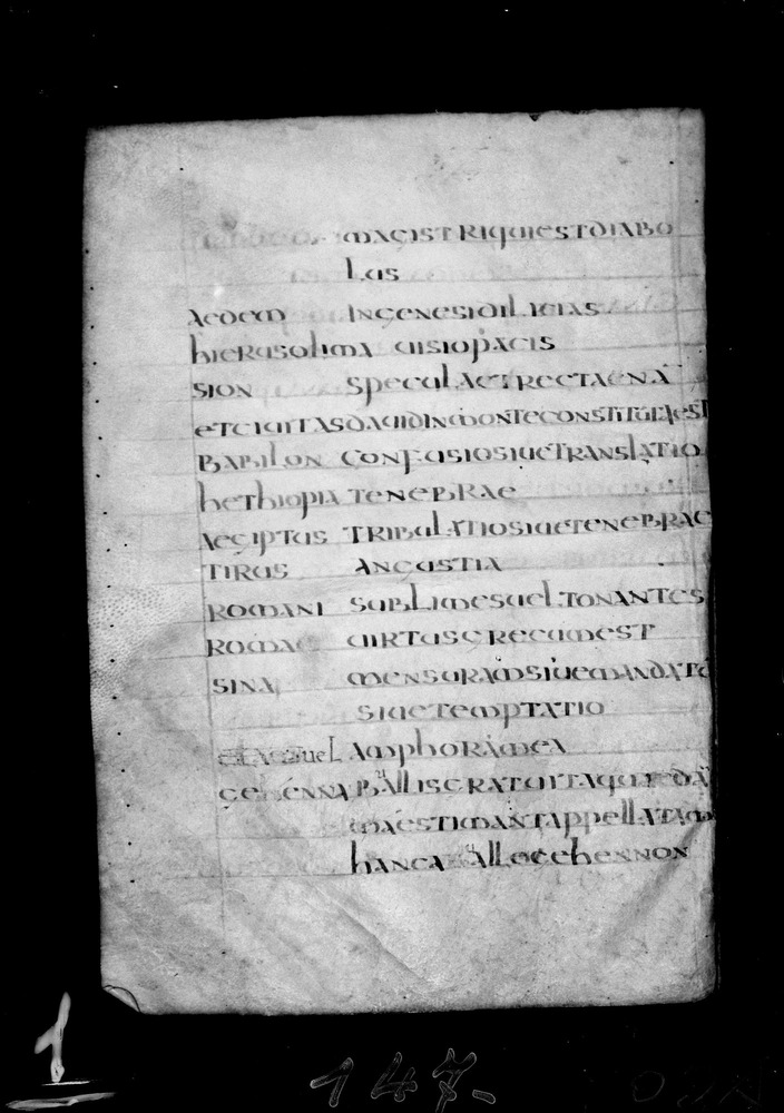Roma, Biblioteca Nazionale Centrale, Sess. 77
doc_00001_065v
Keywords: BNCR Sess. 77, 8. sec., BNCR