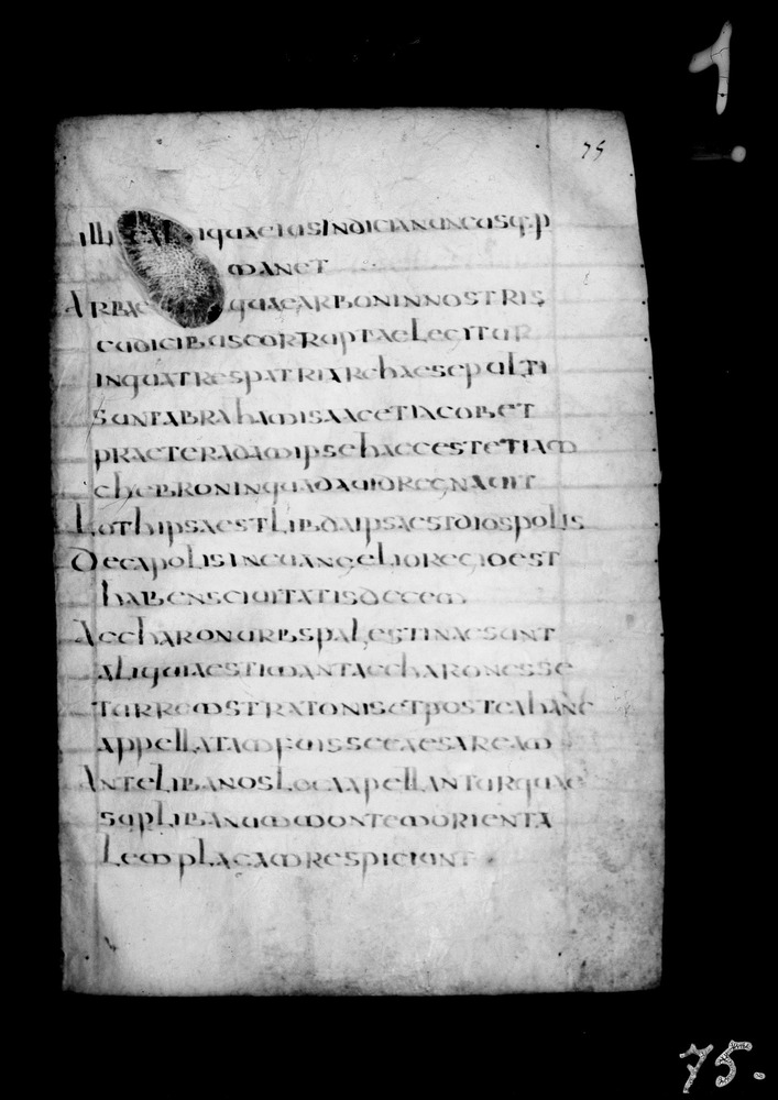 Roma, Biblioteca Nazionale Centrale, Sess. 77
doc_00001_075r
Keywords: BNCR Sess. 77, 8. sec., BNCR