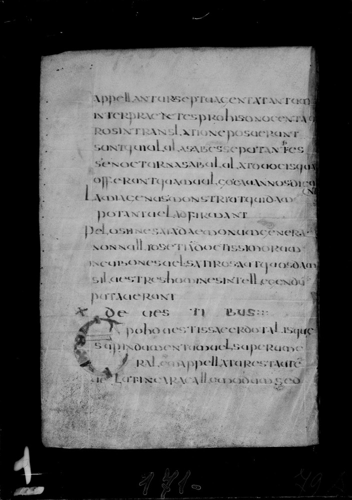 Roma, Biblioteca Nazionale Centrale, Sess. 77
doc_00001_079v
Keywords: BNCR Sess. 77, Decorazioni zoomorfe, 8. sec., BNCR