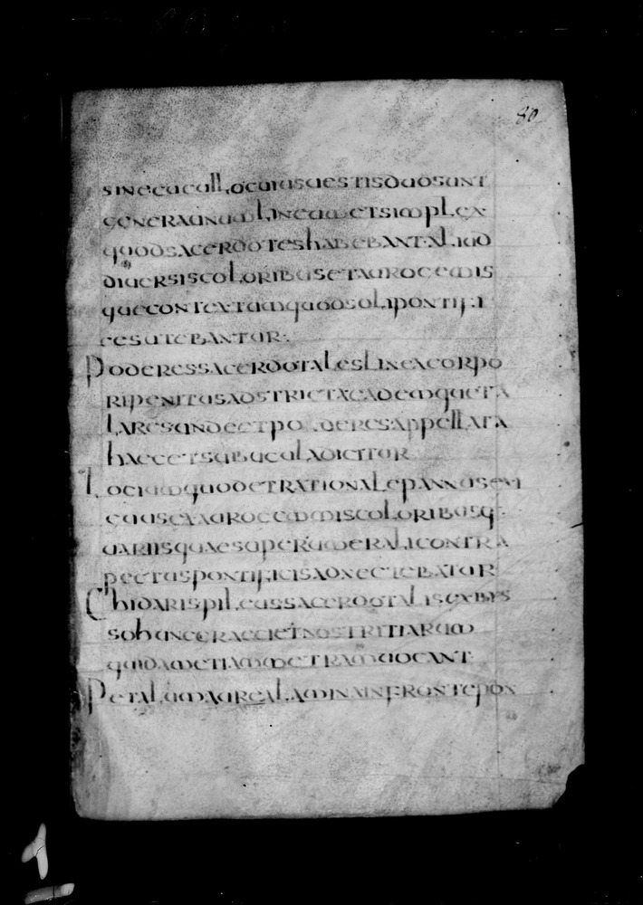 Roma, Biblioteca Nazionale Centrale, Sess. 77
doc_00001_080r
Keywords: BNCR Sess. 77, 8. sec., BNCR