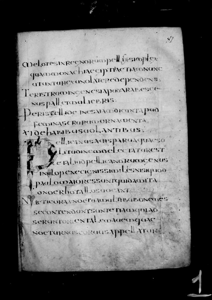 Roma, Biblioteca Nazionale Centrale, Sess. 77
doc_00001_081r
Keywords: BNCR Sess. 77, Decorazioni zoomorfe, 8. sec., BNCR