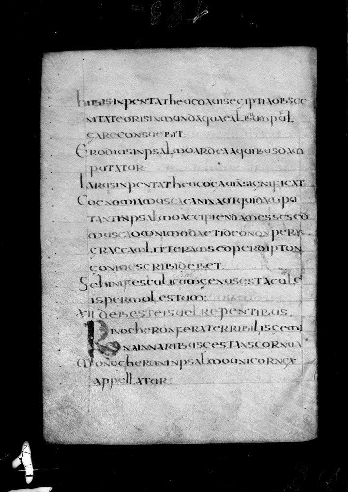 Roma, Biblioteca Nazionale Centrale, Sess. 77
doc_00001_081v
Keywords: BNCR Sess. 77, 8. sec., BNCR